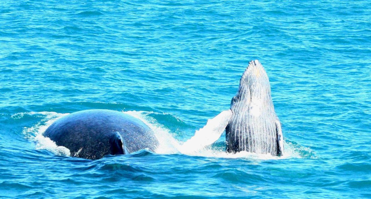 Pousada Areia Preta Cumuruxatiba Exteriér fotografie